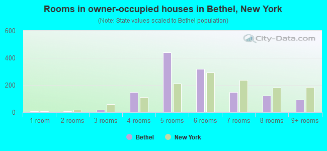 Rooms in owner-occupied houses in Bethel, New York