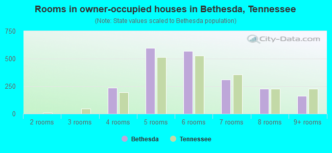 Rooms in owner-occupied houses in Bethesda, Tennessee