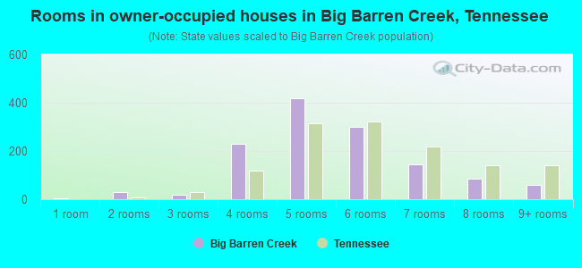 Rooms in owner-occupied houses in Big Barren Creek, Tennessee