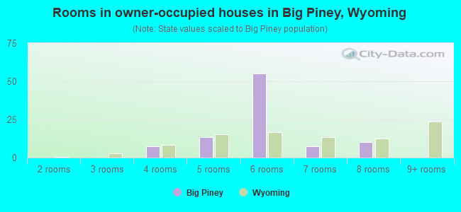 Rooms in owner-occupied houses in Big Piney, Wyoming
