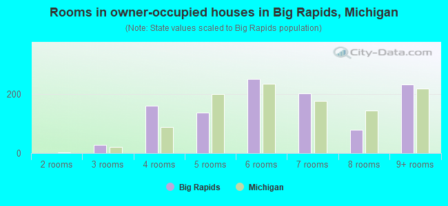 Rooms in owner-occupied houses in Big Rapids, Michigan