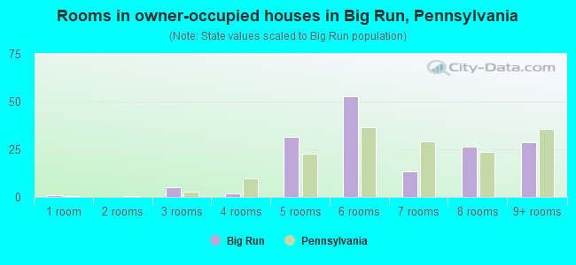 Rooms in owner-occupied houses in Big Run, Pennsylvania