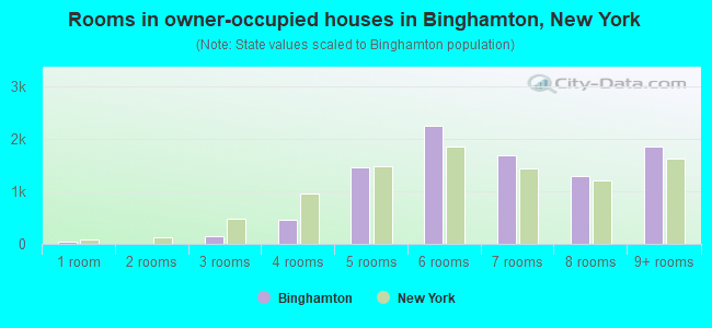 Rooms in owner-occupied houses in Binghamton, New York