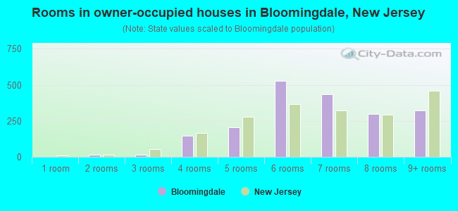 Rooms in owner-occupied houses in Bloomingdale, New Jersey
