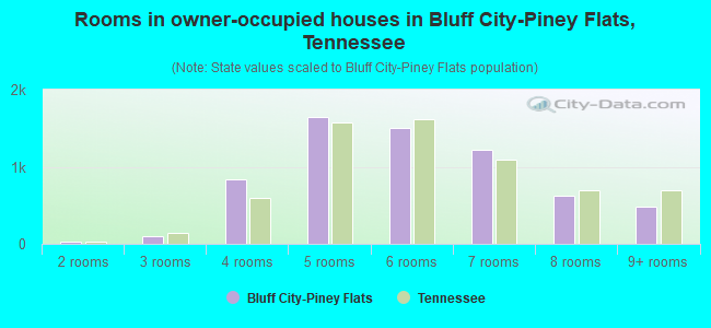 Rooms in owner-occupied houses in Bluff City-Piney Flats, Tennessee