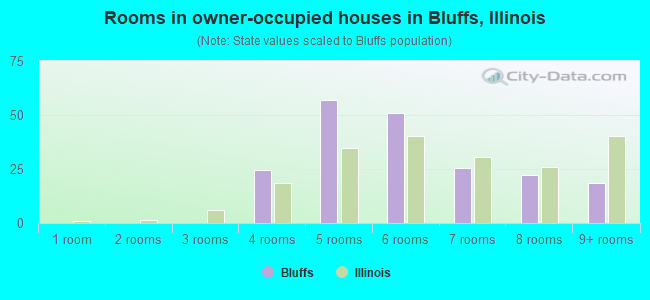 Rooms in owner-occupied houses in Bluffs, Illinois