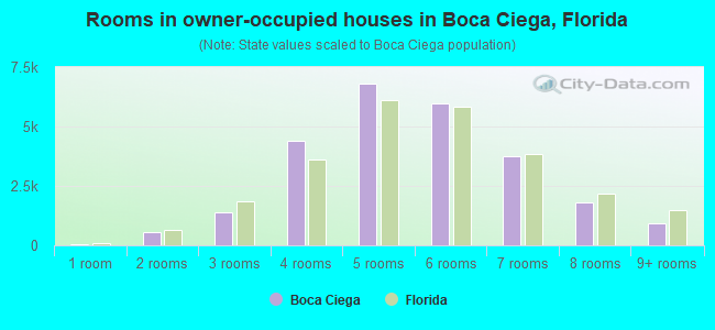 Rooms in owner-occupied houses in Boca Ciega, Florida