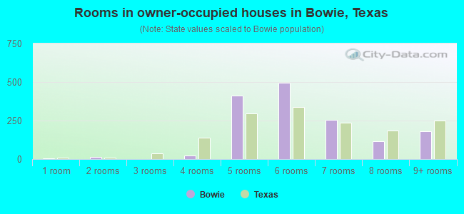 Rooms in owner-occupied houses in Bowie, Texas