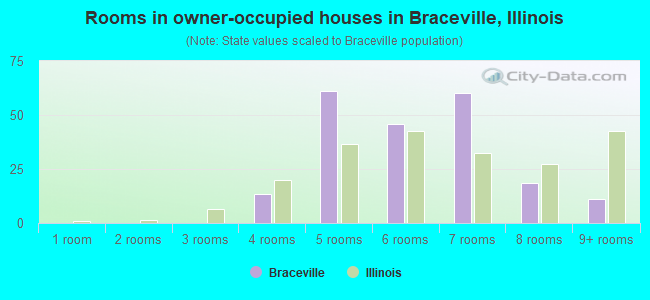 Rooms in owner-occupied houses in Braceville, Illinois