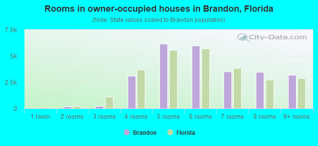 Rooms in owner-occupied houses in Brandon, Florida