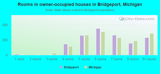 Rooms in owner-occupied houses in Bridgeport, Michigan