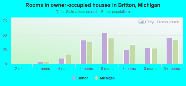 Rooms in owner-occupied houses in Britton, Michigan