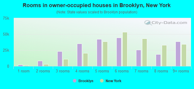 Rooms in owner-occupied houses in Brooklyn, New York