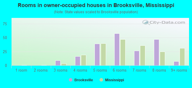 Rooms in owner-occupied houses in Brooksville, Mississippi