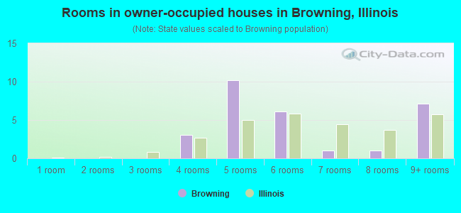 Rooms in owner-occupied houses in Browning, Illinois