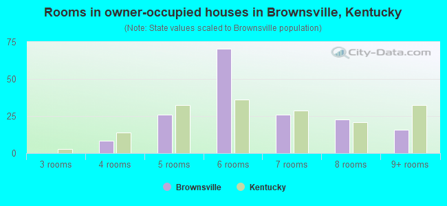 Rooms in owner-occupied houses in Brownsville, Kentucky