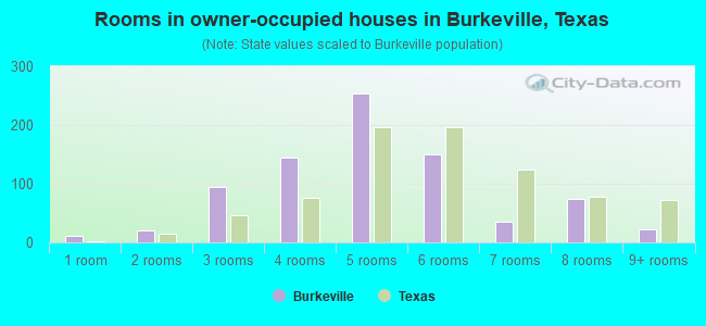 Rooms in owner-occupied houses in Burkeville, Texas