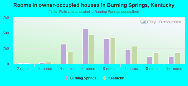 Rooms in owner-occupied houses in Burning Springs, Kentucky