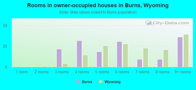 Rooms in owner-occupied houses in Burns, Wyoming