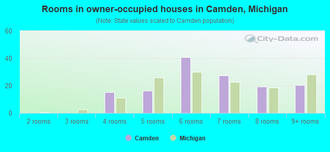 Rooms in owner-occupied houses in Camden, Michigan