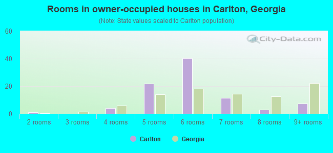 Rooms in owner-occupied houses in Carlton, Georgia