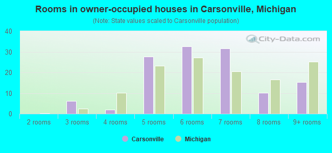 Rooms in owner-occupied houses in Carsonville, Michigan