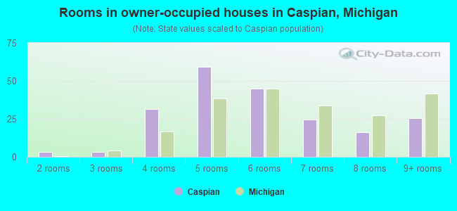 Rooms in owner-occupied houses in Caspian, Michigan