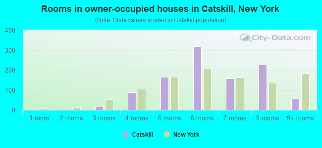 Rooms in owner-occupied houses in Catskill, New York