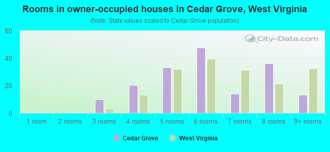 Rooms in owner-occupied houses in Cedar Grove, West Virginia