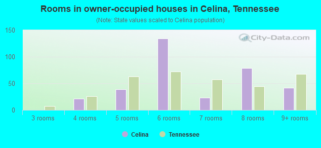 Rooms in owner-occupied houses in Celina, Tennessee