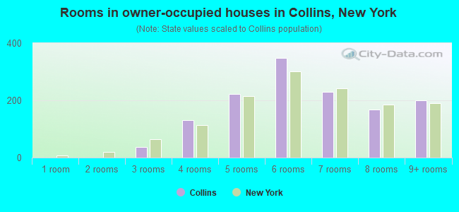 Rooms in owner-occupied houses in Collins, New York