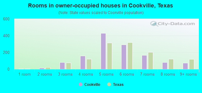 Rooms in owner-occupied houses in Cookville, Texas