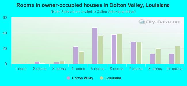 Rooms in owner-occupied houses in Cotton Valley, Louisiana