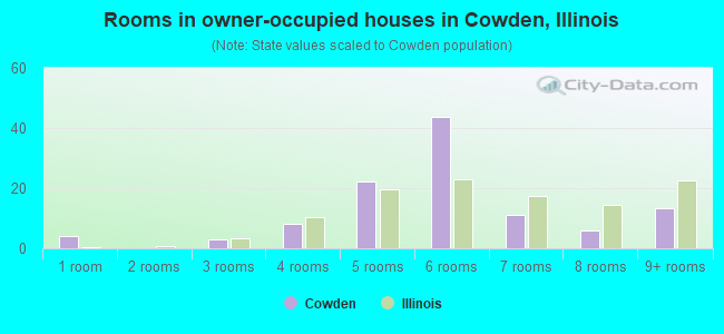 Rooms in owner-occupied houses in Cowden, Illinois