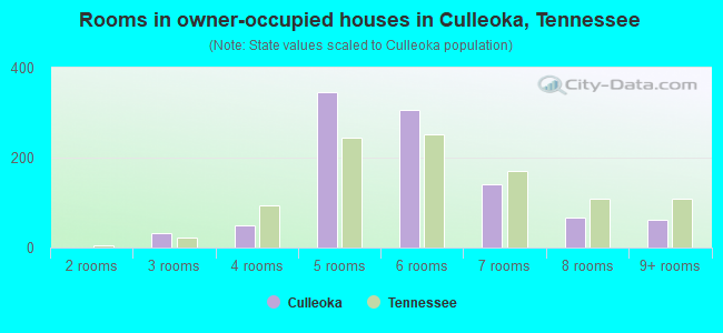 Rooms in owner-occupied houses in Culleoka, Tennessee
