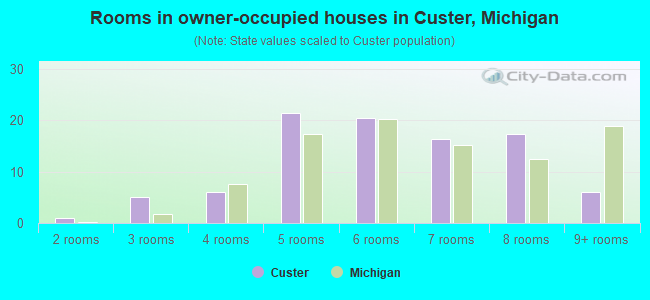 Rooms in owner-occupied houses in Custer, Michigan