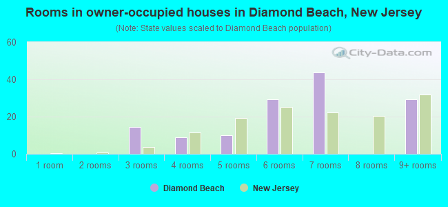 Rooms in owner-occupied houses in Diamond Beach, New Jersey