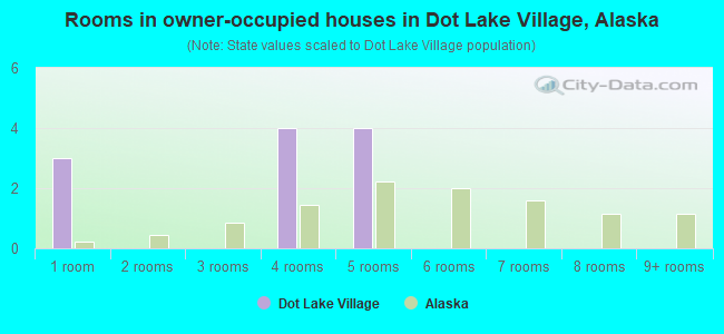 Rooms in owner-occupied houses in Dot Lake Village, Alaska