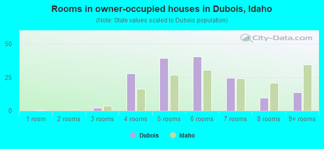 Rooms in owner-occupied houses in Dubois, Idaho