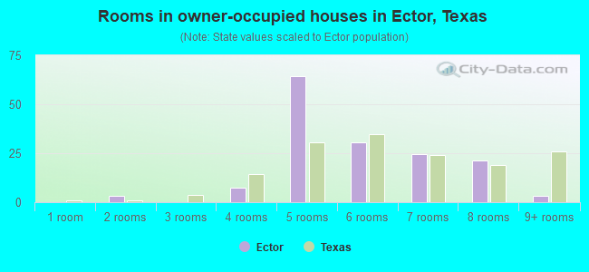 Rooms in owner-occupied houses in Ector, Texas