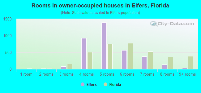 Rooms in owner-occupied houses in Elfers, Florida