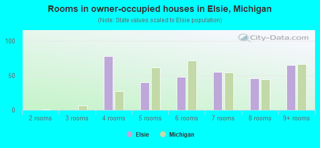 Rooms in owner-occupied houses in Elsie, Michigan
