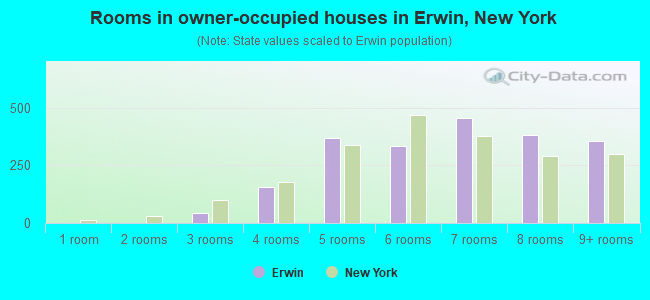 Rooms in owner-occupied houses in Erwin, New York