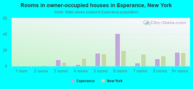 Rooms in owner-occupied houses in Esperance, New York