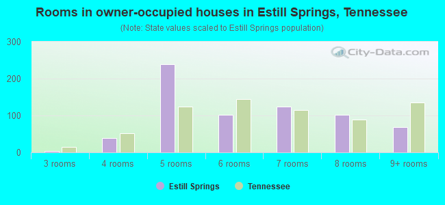 Rooms in owner-occupied houses in Estill Springs, Tennessee