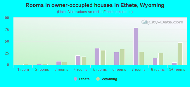 Rooms in owner-occupied houses in Ethete, Wyoming