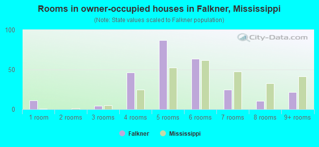 Rooms in owner-occupied houses in Falkner, Mississippi