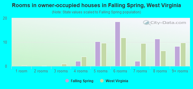 Rooms in owner-occupied houses in Falling Spring, West Virginia