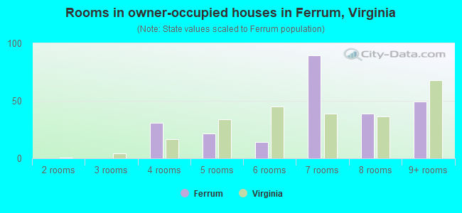 Rooms in owner-occupied houses in Ferrum, Virginia