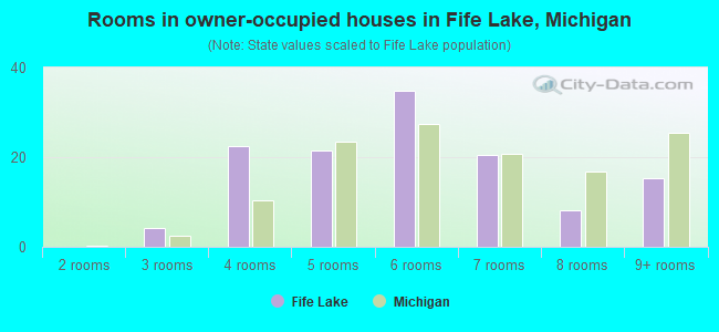 Rooms in owner-occupied houses in Fife Lake, Michigan